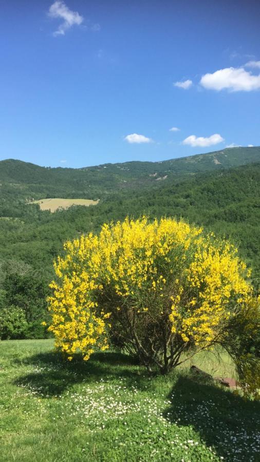Nido D'Amore Nei Colori Dernice ภายนอก รูปภาพ